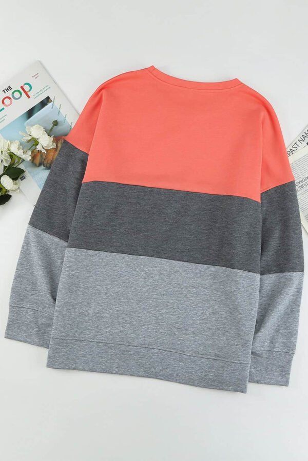 Gray Crew Neck Colorblock Plus Size Sweashirt