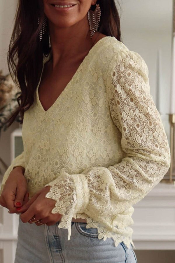 Beige Floret Lace V Neck Long Sleeve Blouse