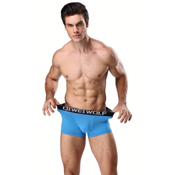 Men’s Boxers 4Pcs