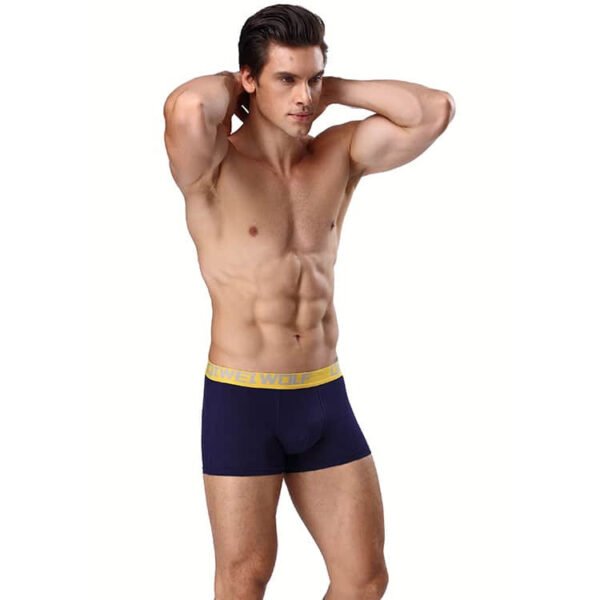 Men’s Boxers 4Pcs