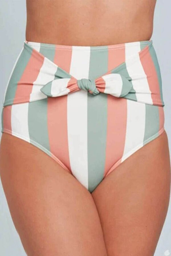 Multicolor Stripes Print Front Tie High Waist Bikini Bottoms