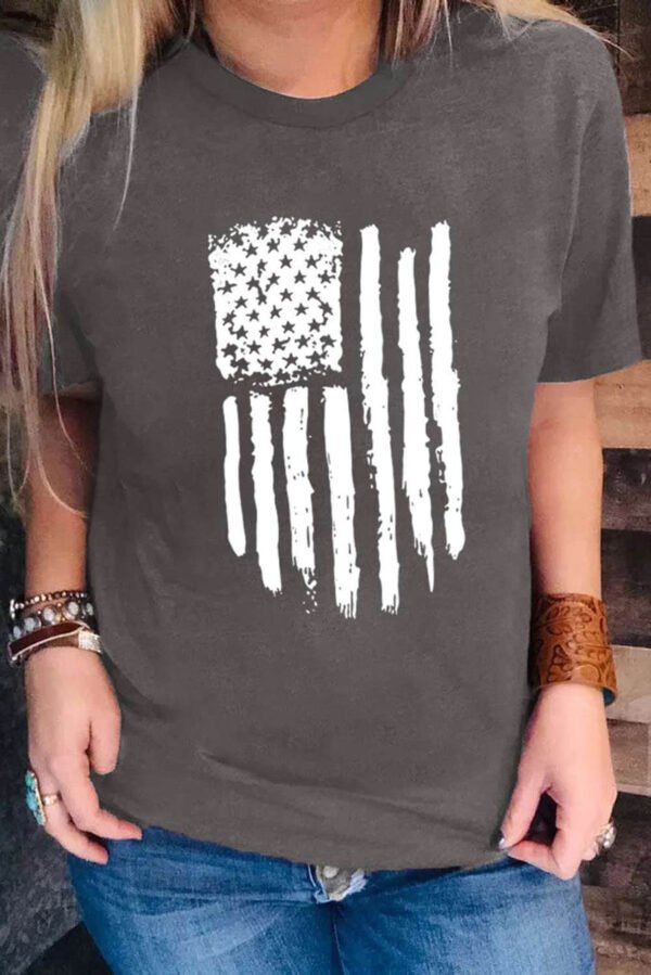 Gray America Flag Print Short Sleeve Crewneck T-shirt