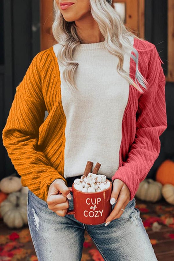 Multicolor Colorblock Textured Drop Shoulder Sweater Red