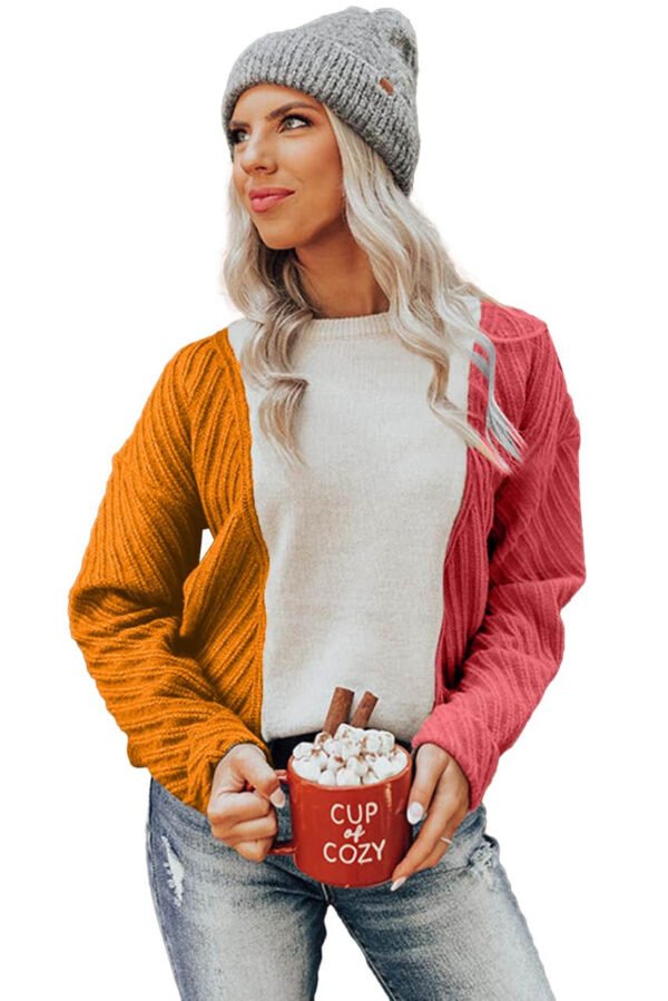 Multicolor Colorblock Textured Drop Shoulder Sweater Red