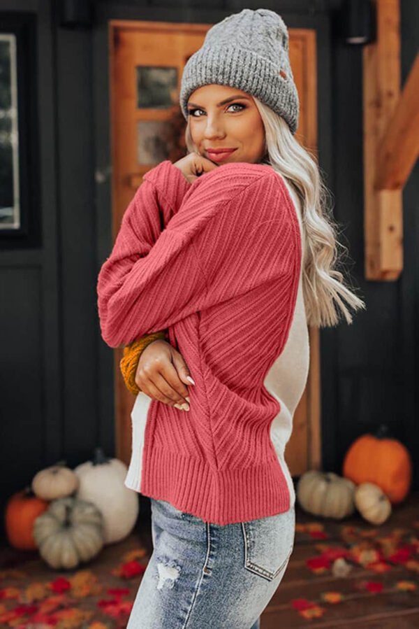Multicolor Colorblock Textured Drop Shoulder Sweater Red