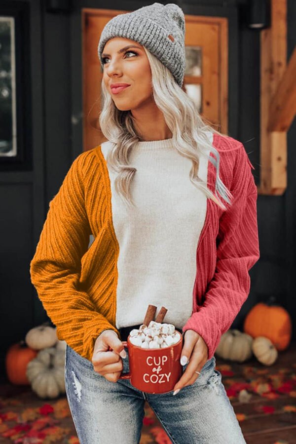 Multicolor Colorblock Textured Drop Shoulder Sweater Red
