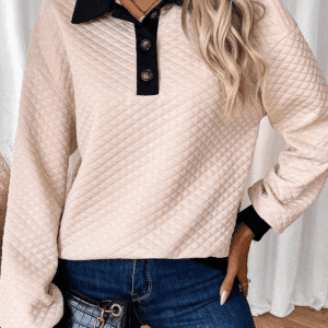 Oatmeal Textured Colorblock Edge Buttoned Collar Sweatshirt