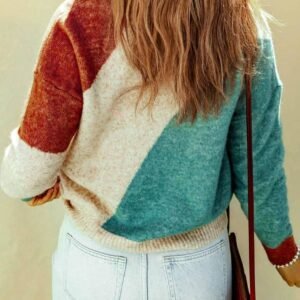 Multicolor Colorblock Ribbed Trim Round Neck Sweater