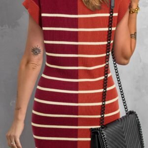 Brown Stripe Color Block Quarter Zip Collar Short Sleeve Sweater Dress