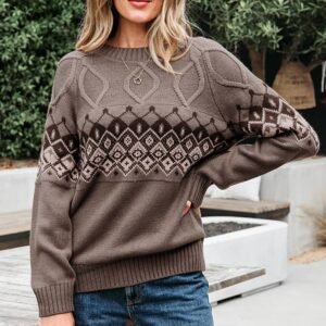 Light French Beige Western Geometric Patterned Crew Neck Knitted Sweater