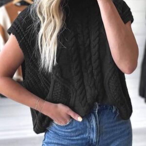 Black Solid Color Cable Knit High Neck Sweater Vest