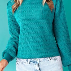 Sea Green Trendy Pattern Knit Ribbed Cuffs Crew Neck Sweater