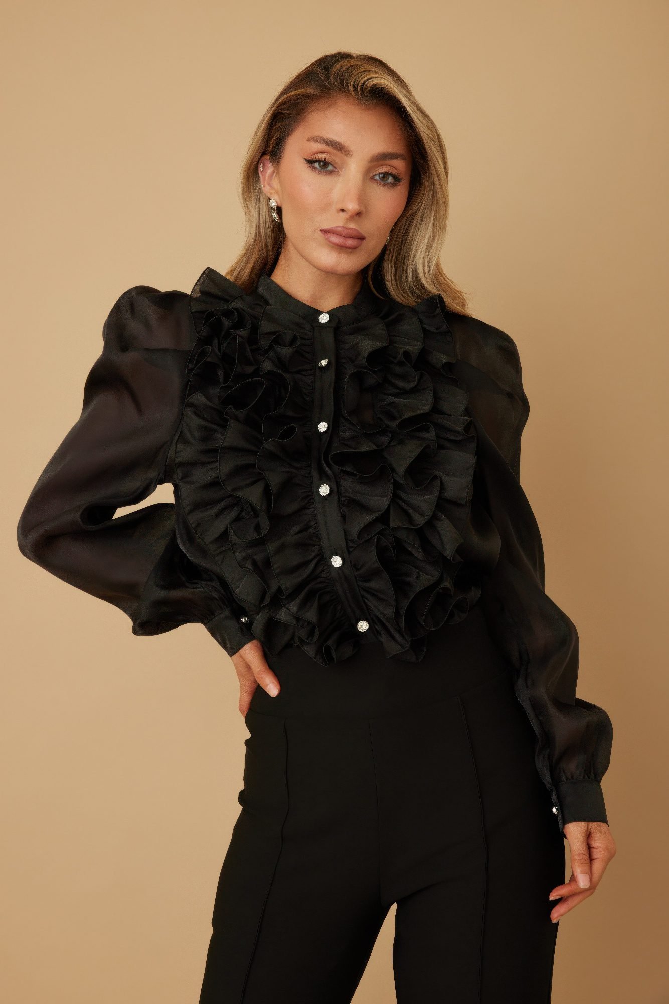 Ruffle Micro Crystal Long Sleeve Blouse-51923