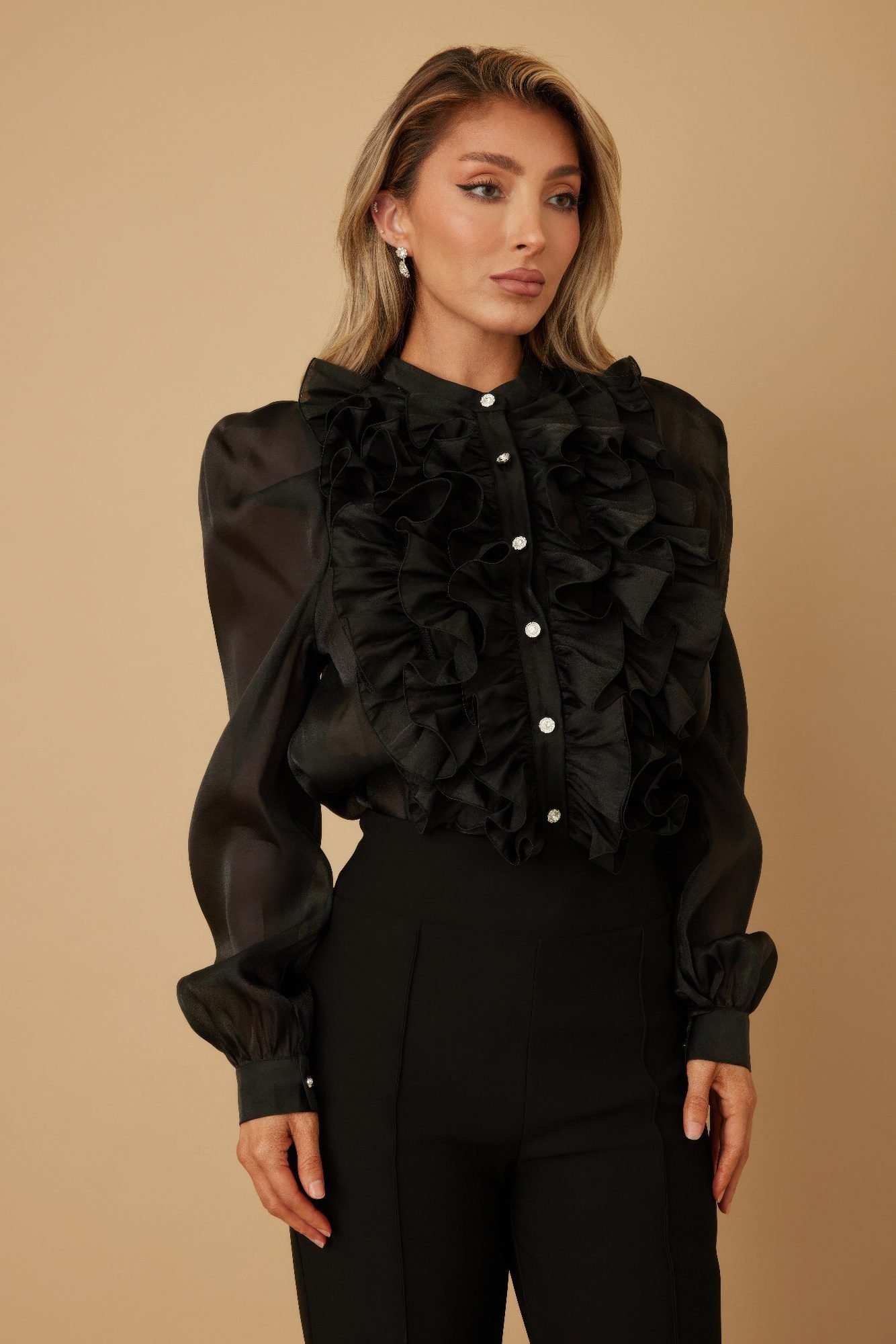 Ruffle Micro Crystal Long Sleeve Blouse-51923