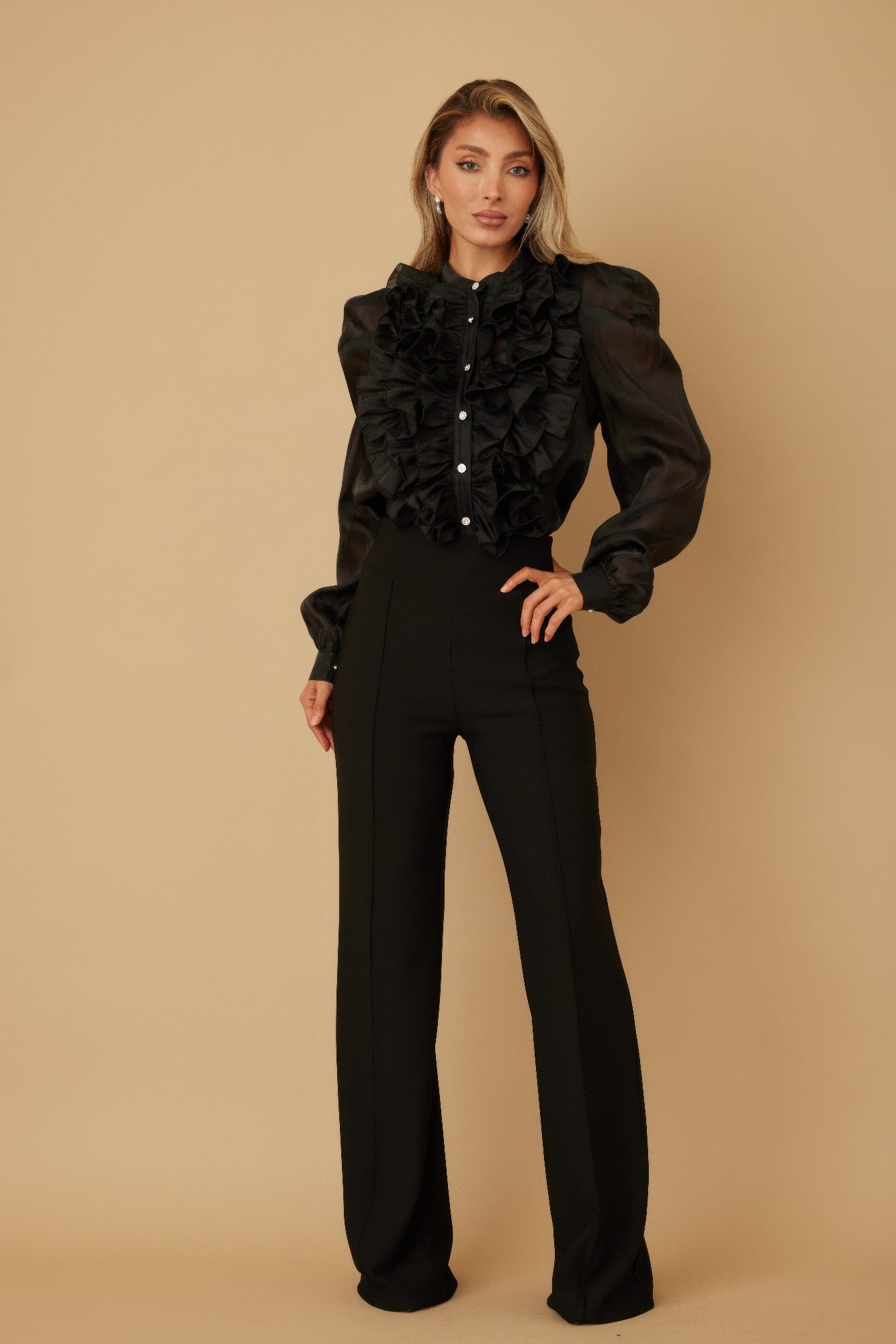 Ruffle Micro Crystal Long Sleeve Blouse-51923