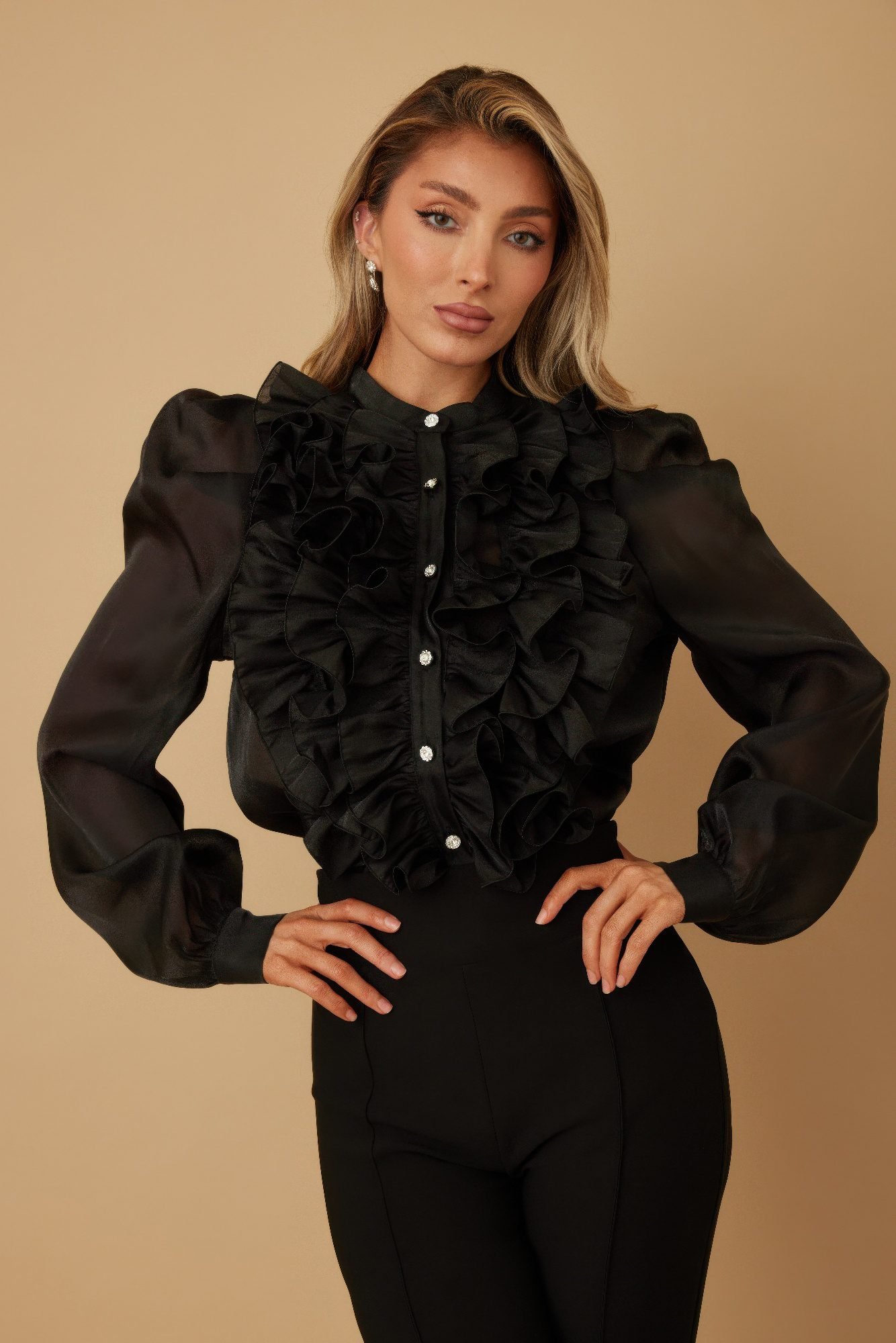Ruffle Micro Crystal Long Sleeve Blouse-51923