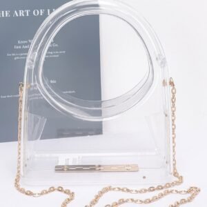 Transparent Acrylic Clutch-48899