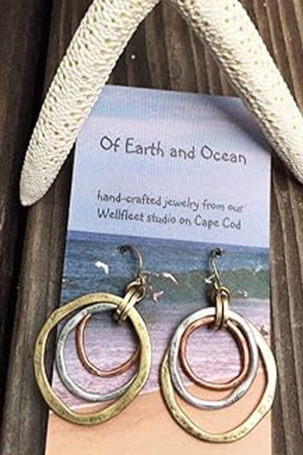 Silvery Vintage Triple Circle Alloy Hook Earrings