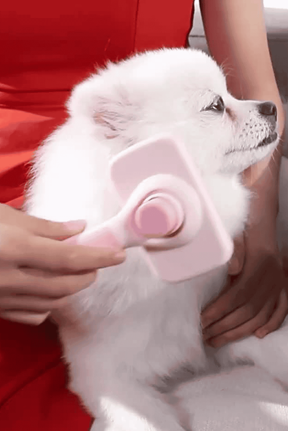 Pink Self Cleaning Gently Grooming Brush Pet Comb