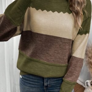Brown Colorblock Crew Neck Drop Shoulder Sweater