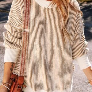 Chestnut Striped Textured Knit Contrast Edge Loose Sweater