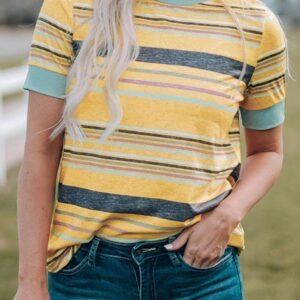 Multicolor Stripes Crew Neck T Shirt