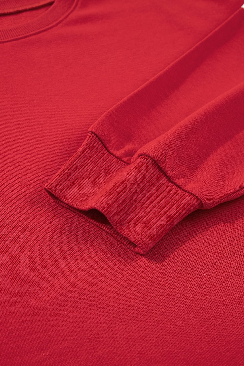 Fiery Red Varsity Striped Detail Crew Neck Plus Sweatshirt