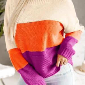 Multicolor Color Block Drop Shoulder Round Neck Knit Sweater