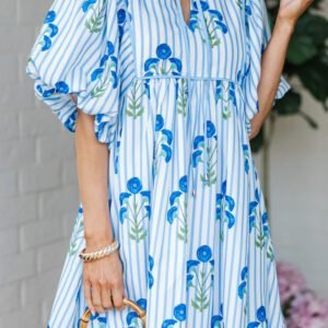 Sky Blue Floral Striped Print Tie Notched Neck Puff Sleeve Flared Mini Dress