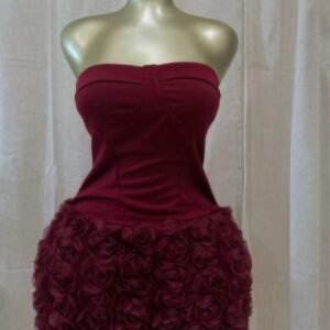 Crimson Rose Garden Mini Dress