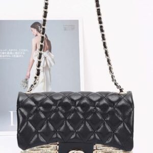 Metallic Acrylic Flap Bag