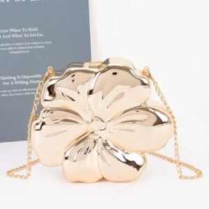 Metallic Acrylic Clutch