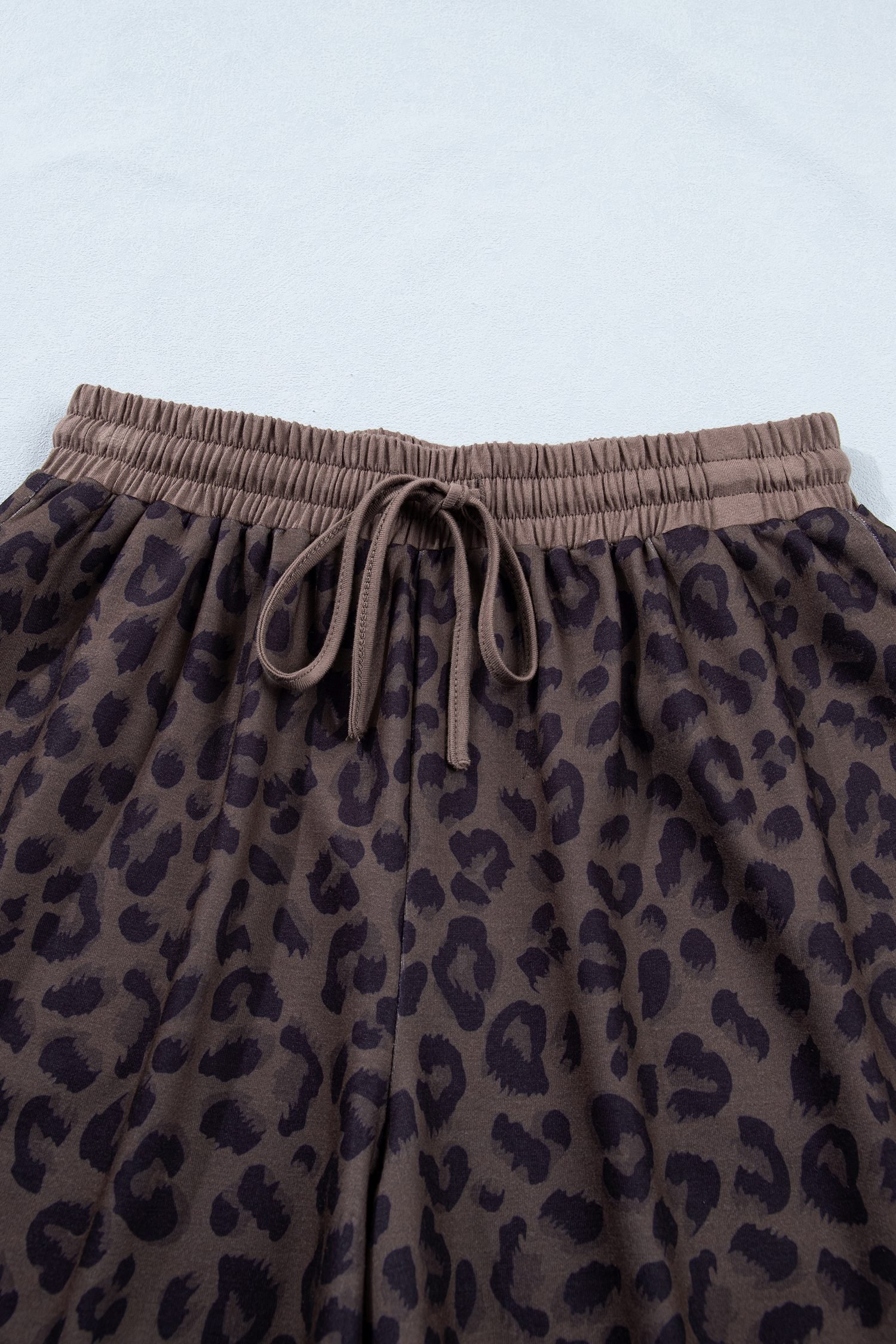 Brown V Neck Collar Leopard Printed 2pcs Short Set