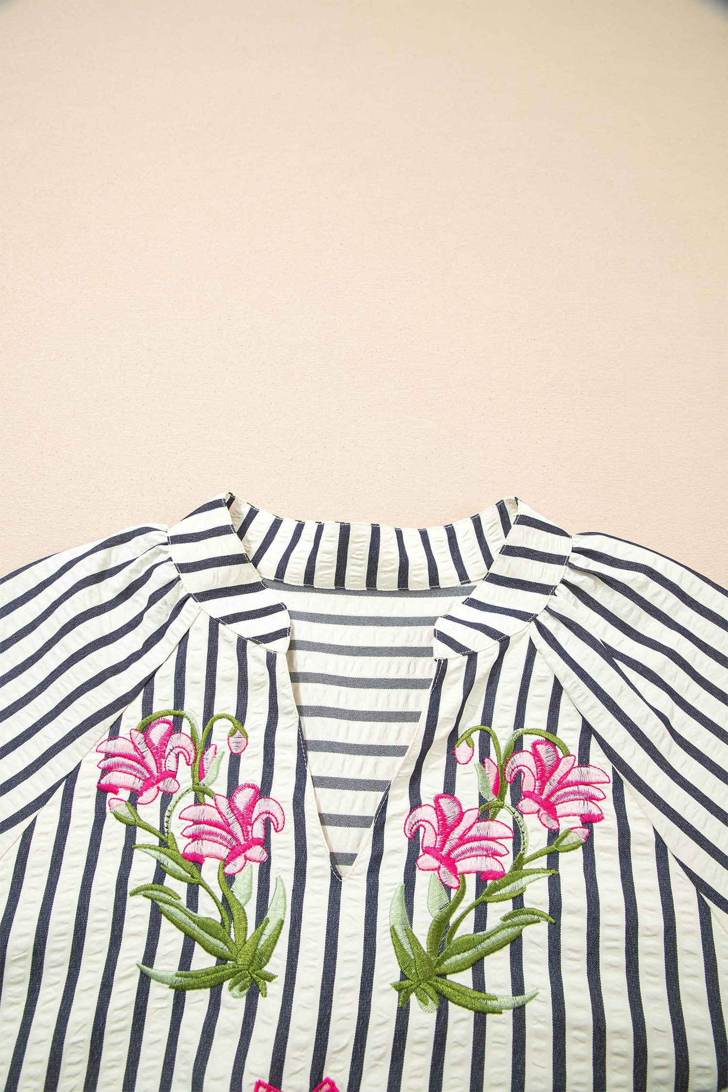 Blue Stripe Floral Embroidered Detail V Neck Short Sleeve Blouse