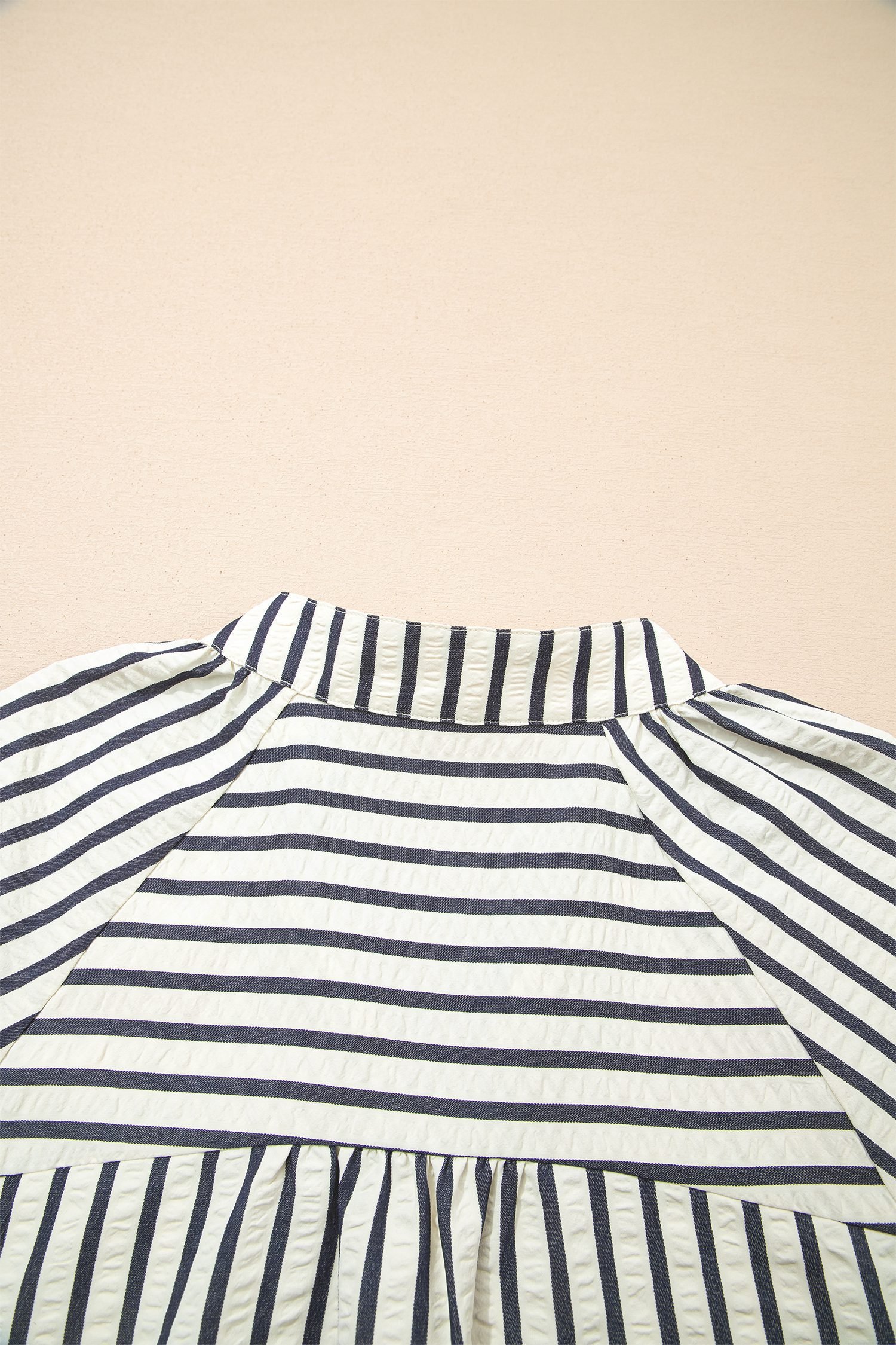 Blue Stripe Floral Embroidered Detail V Neck Short Sleeve Blouse