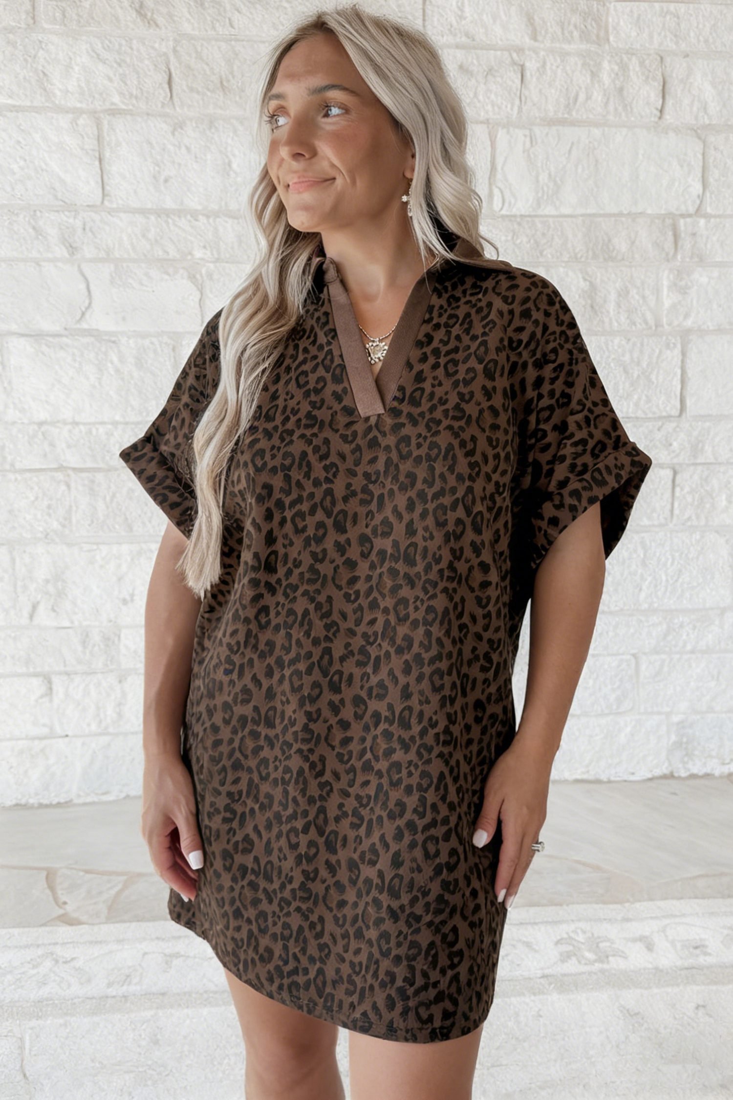 Brown Leopard Print Contrast Collar V-Neck Mini Dress