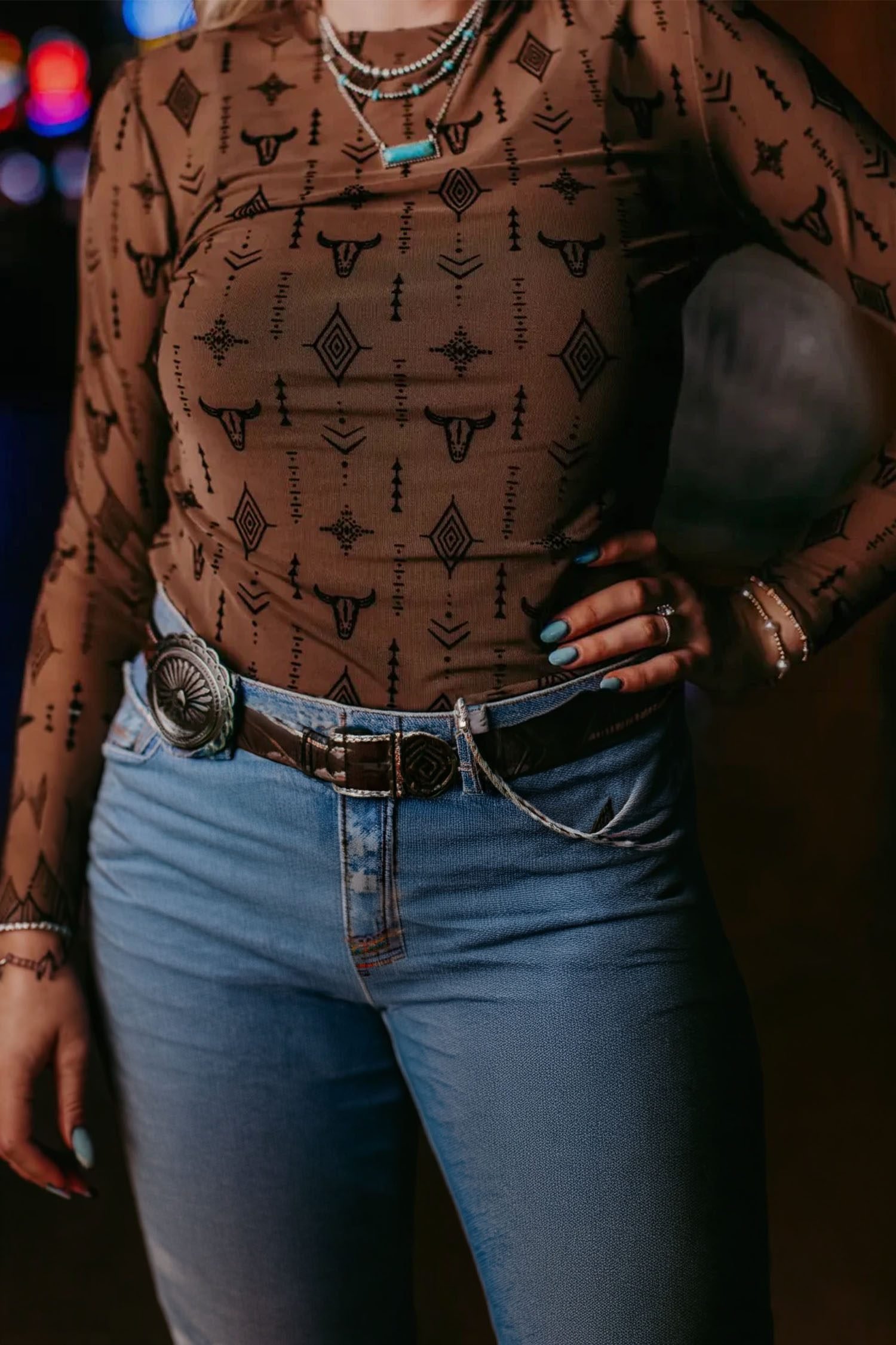 Chestnut Retro Western Print Mesh Long Sleeve Sheath Top - Image 3
