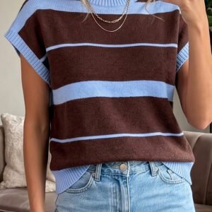 Sky Blue Stripe Striped Short Sleeve Round Neck Casual Knit Top