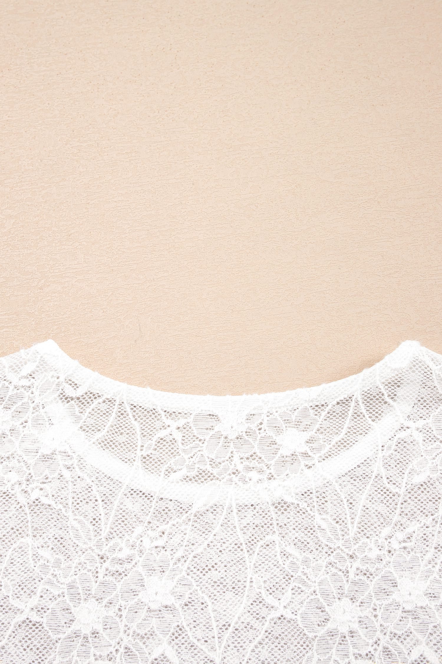Beige Long Sleeve Sheer Mesh Lace Top