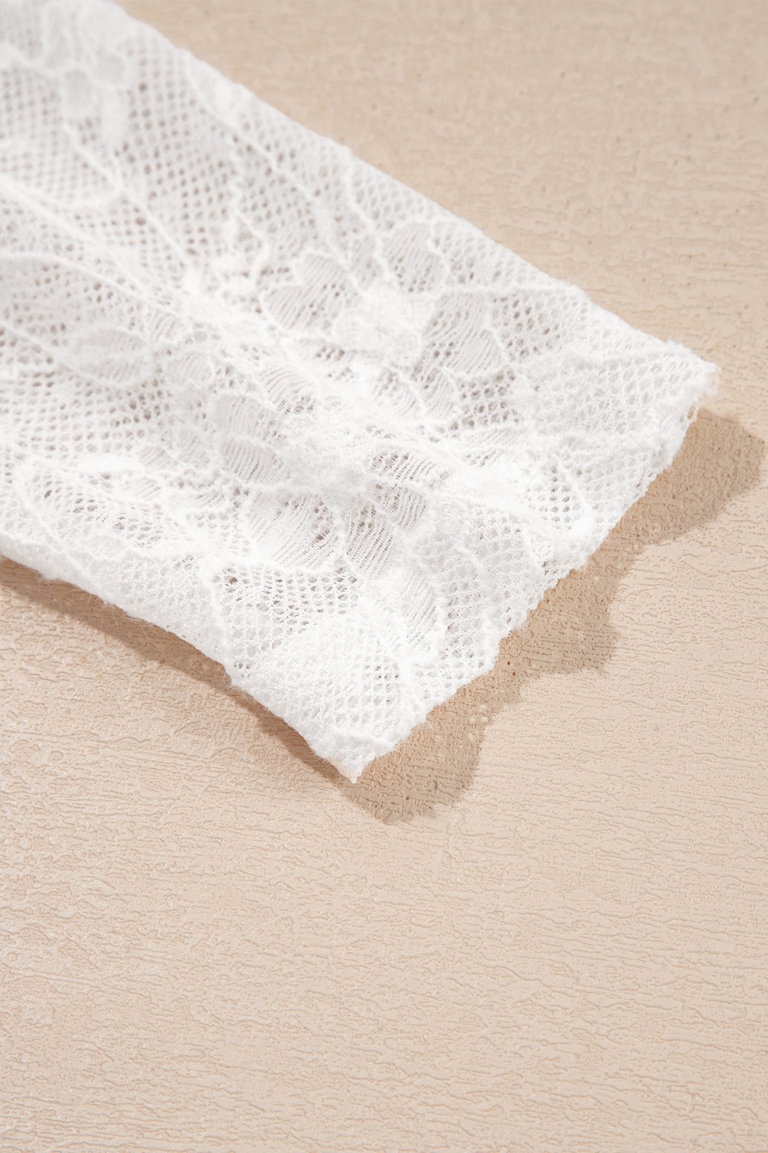 Beige Long Sleeve Sheer Mesh Lace Top