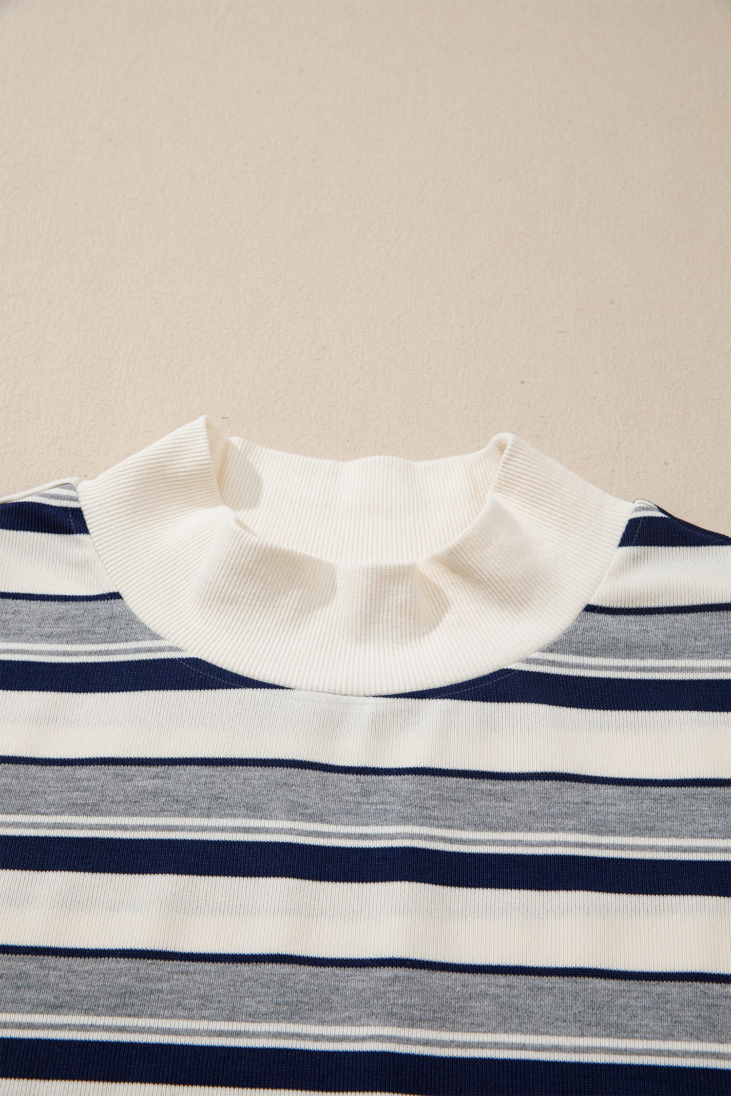 Blue Stripe Striped Ribbed Stand Neck Long Sleeve Shift Silhouette Sweatshirt