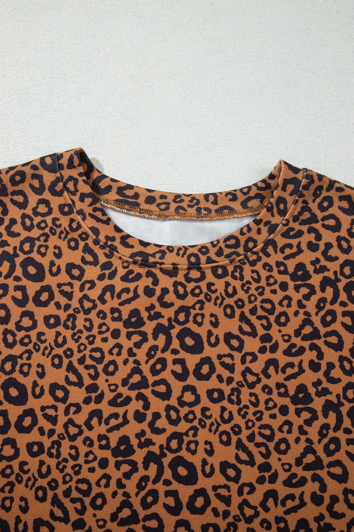 Brown Leopard Print Long Sleeve Top Relaxed Pant Set