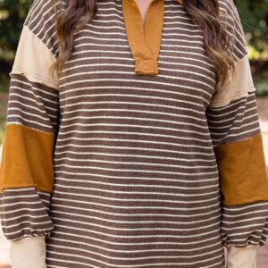 Brown Stripe Colorblock Detail Collar V Neck Plus Size Long Sleeve Top