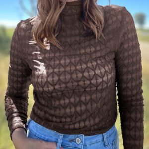 Chicory Coffee Sheer Textured Lace Stand Neck Long Sleeve Top