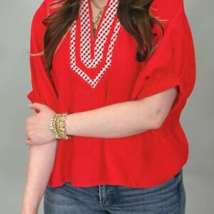 Red V Neck Plaid Collar Short Sleeve Tunic Blouse