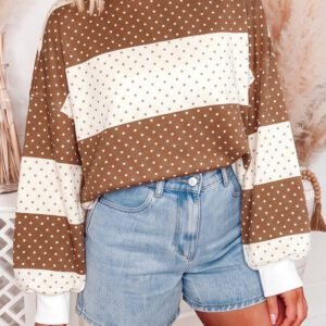 Brown Polka Dot Patchwork Colorblock Long Sleeve Top