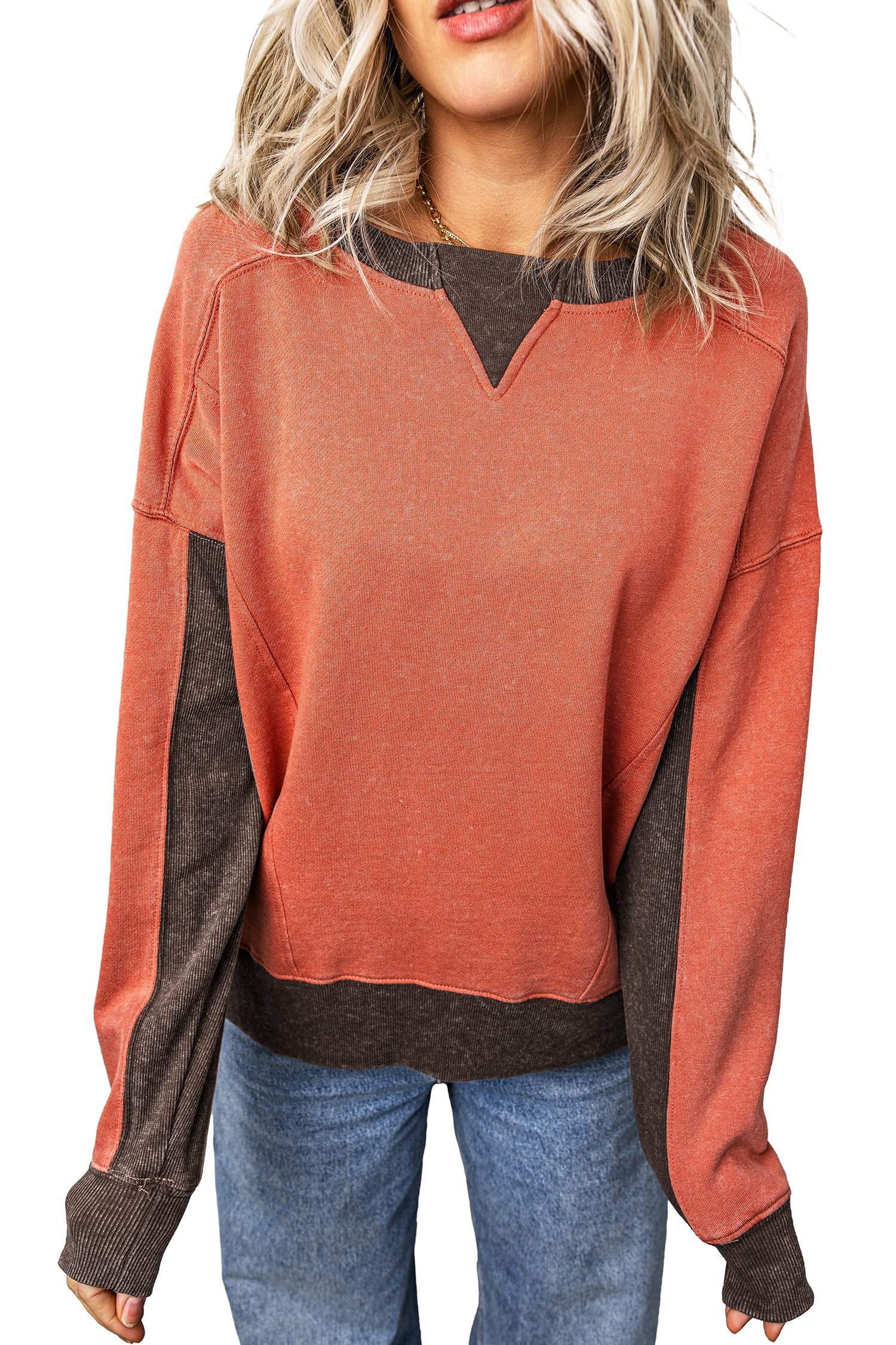 Flamingo Patchwork Colorblock Long Sleeve Vintage Regular Fit Sweatshirt
