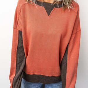 Flamingo Patchwork Colorblock Long Sleeve Vintage Regular Fit Sweatshirt