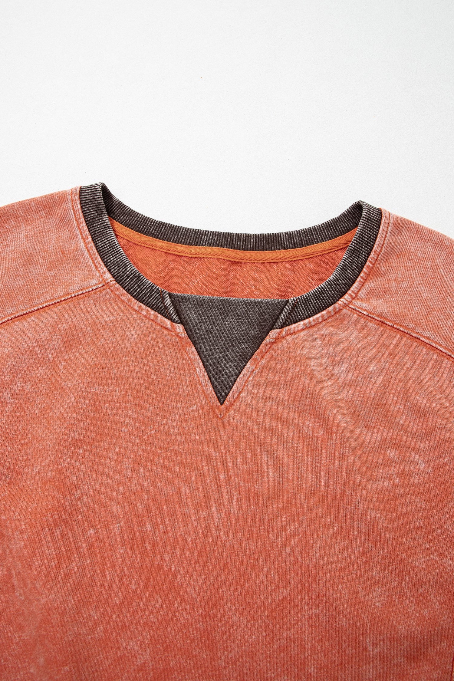 Flamingo Patchwork Colorblock Long Sleeve Vintage Regular Fit Sweatshirt
