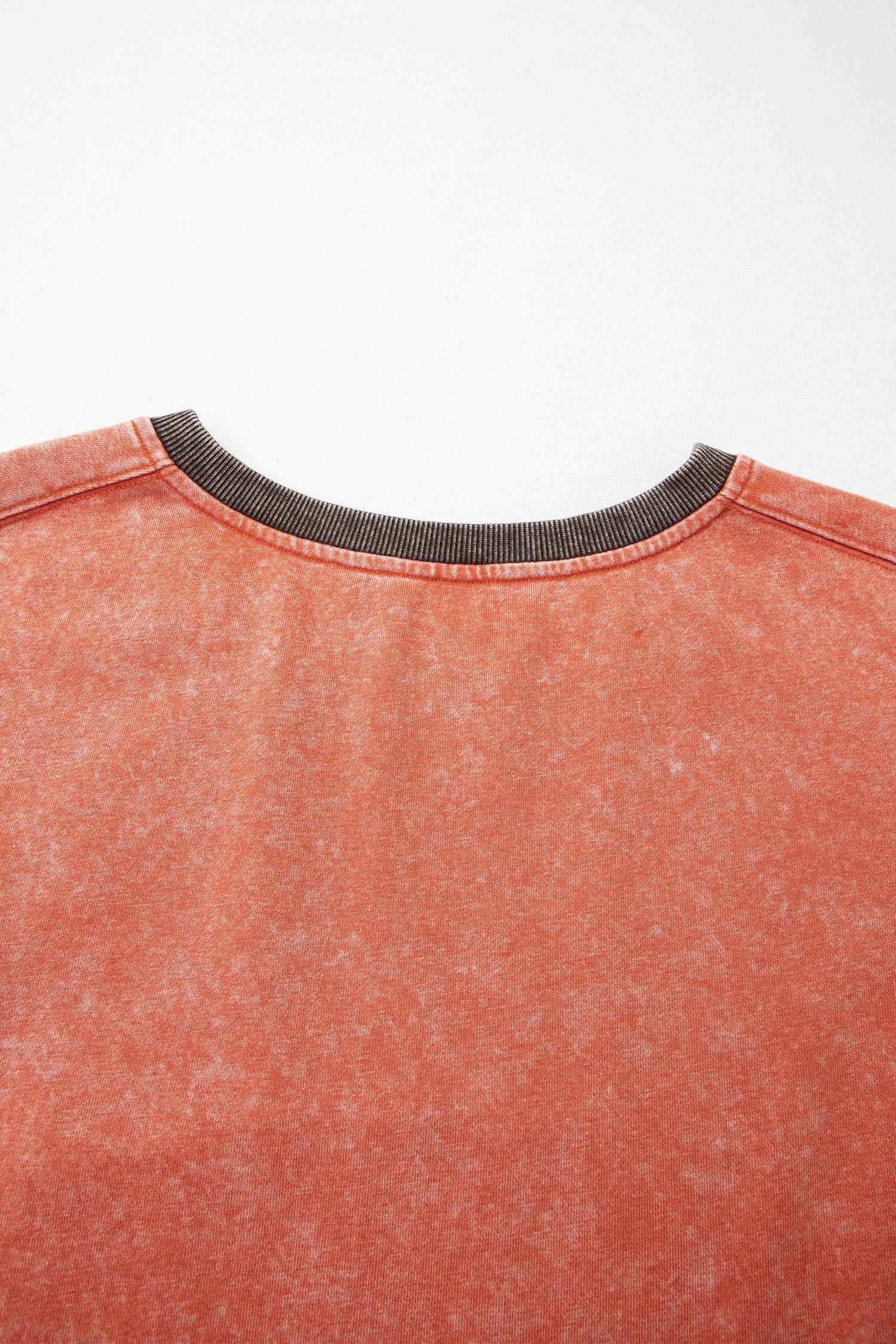 Flamingo Patchwork Colorblock Long Sleeve Vintage Regular Fit Sweatshirt